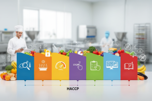 HACCP tanácsadás – rémálom vagy segítség?