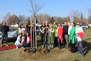 Győr Szeretetfája – Amikor nemcsak egy fát ültetünk, hanem jövőt is