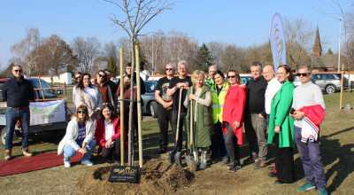 Győr Szeretetfája – Amikor nemcsak egy fát ültetünk, hanem jövőt is