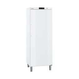 Liebherr GGv 5010 ProfiLine - Gefrierschrank