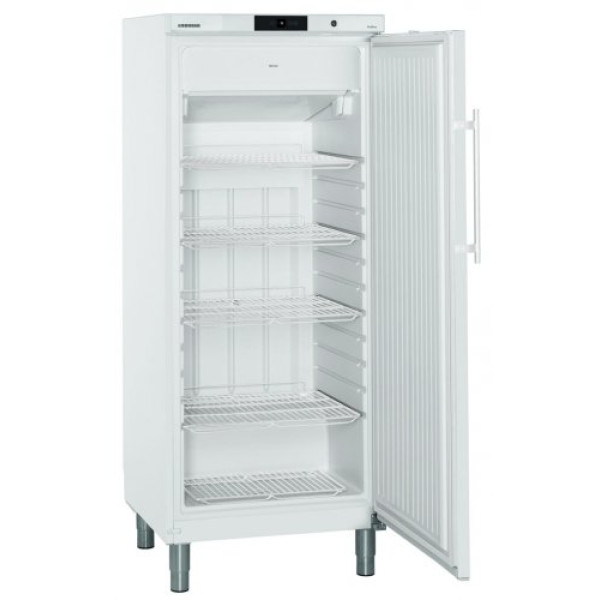 Liebherr GGv 5010 ProfiLine - Gefrierschrank