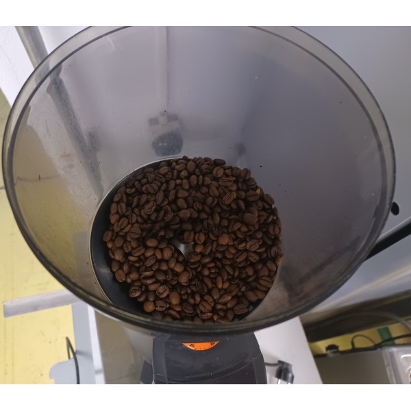 Rancilio KRYO 65 Kaffeemühle