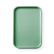 Polipropilén gyorséttermi tálca GN 1/1, AmerBox, GN 1/1, Zöld, 530x325x(H)20mm 878576