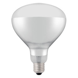 Infravörös izzó, HENDI, Fehér, 230V/250W, ⌀125x(H)170mm 919200