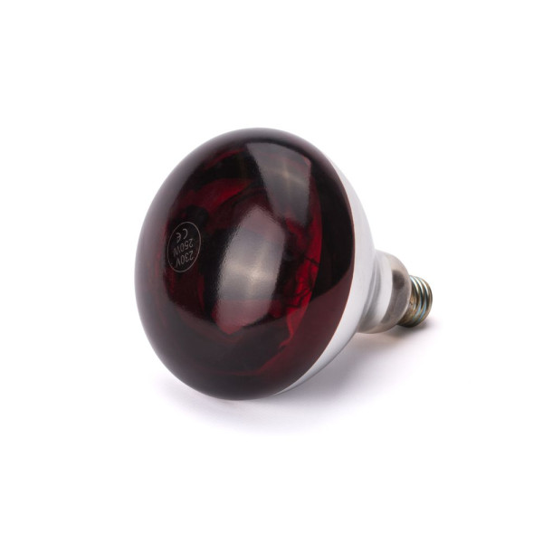 Infravörös izzó, HENDI, Piros, 230V/250W, ⌀125x(H)170mm 919217