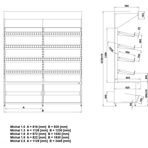 MICHAŁ 1.0 - Wandregalsystem MICHAŁ 1.0 - Wandregalsystem