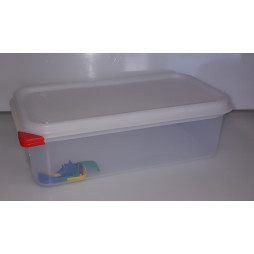 Gn 1/3 cena 100 plastových nádobách