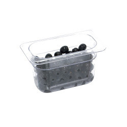 STALGAST® GN1 / 9 polycarbonate container