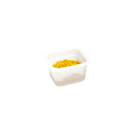 polypropylene GN1 / 6 container