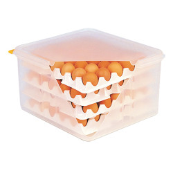 Contianer for eggs storage