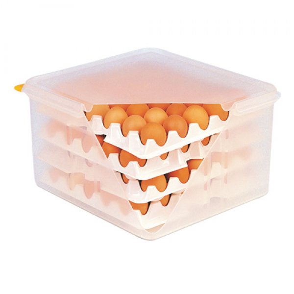 Contianer for eggs storage GN dishes