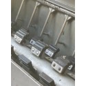 WAMMA Egytérben forrázó - kopasztó gép Húsipari gépek/berendezések